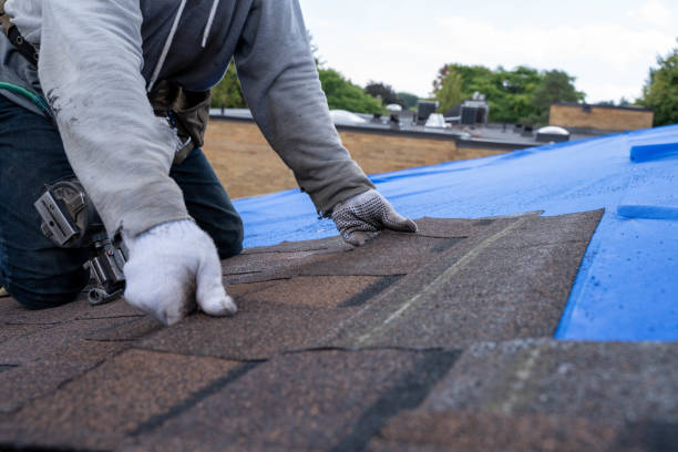 Best Roof Gutter Cleaning  in Smithfield, VA